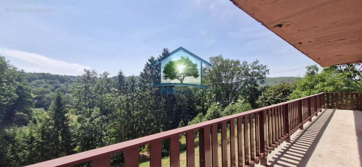 MEISENTHAL (57) - Maison 181m² sur un terrain de 14,94 ares - photo 12