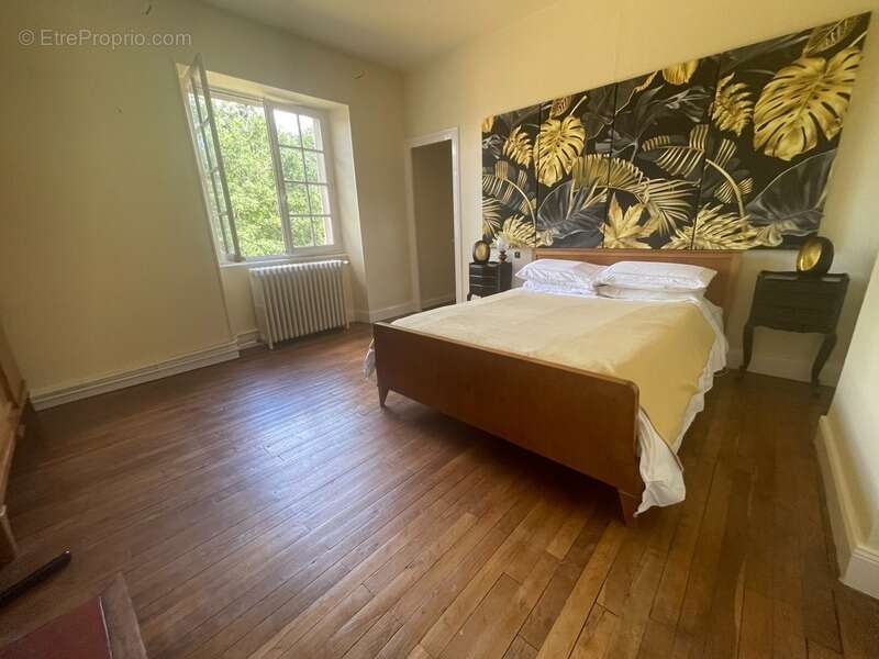 Très Belle maison de caractère  dans parc de 26900 m2 - photo 36