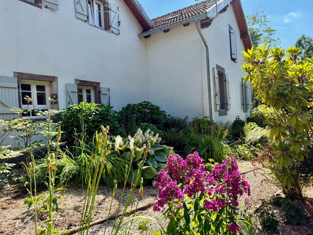Maison à SERVANCE