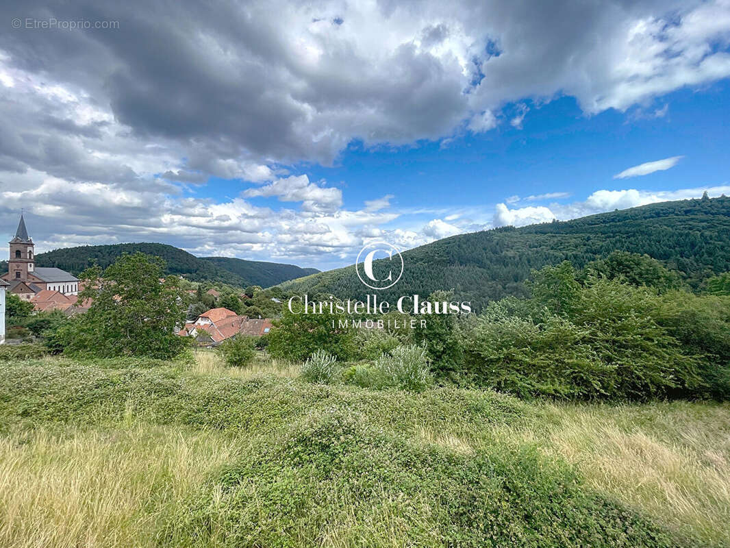 Terrain à GRENDELBRUCH