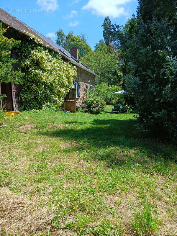 Maison à flanc de colline avec plus d'un hectare de terrain - photo 4