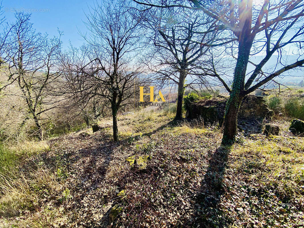 Terrain à VEYRAS