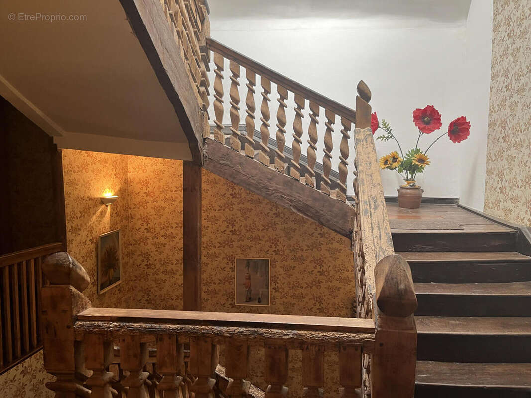 IMG_2097 - Maison à OLORON-SAINTE-MARIE