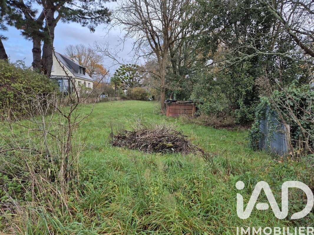 Photo 8 - Terrain à SARZEAU