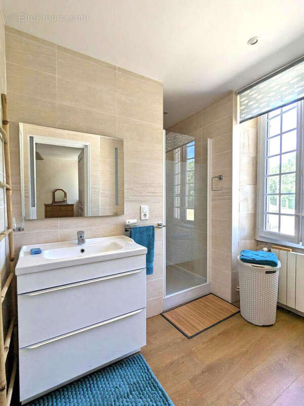 Maison de Maitre à vendre - Vienne - Maison à ROMAGNE