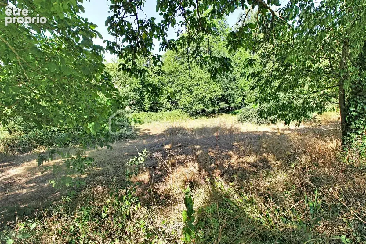 Grange+ terrain construtible - photo 2