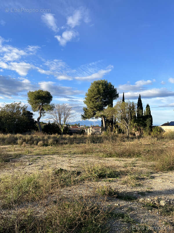 Terrain à PERPIGNAN