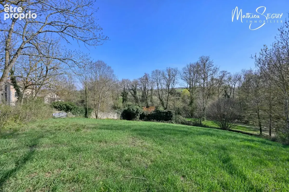 Ancien Moulin sur 1,3 Ha de terrain à MESSIMY (69) - photo 34