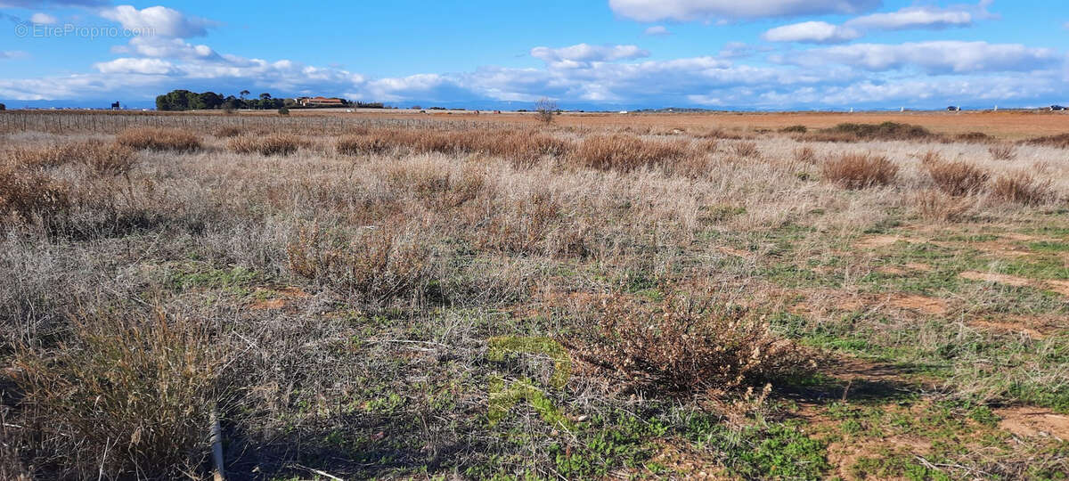 Terrain à PORTIRAGNES