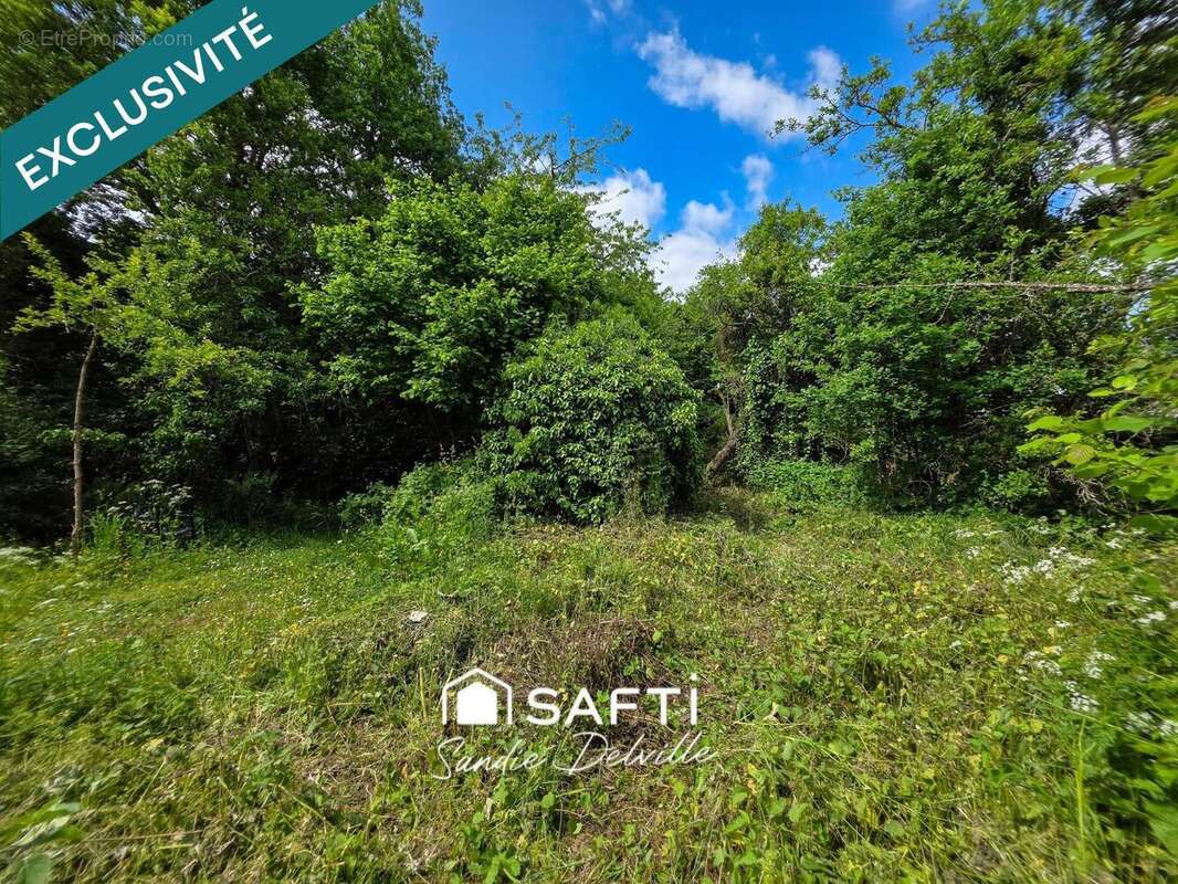 Photo 9 - Maison à CRECY-LA-CHAPELLE