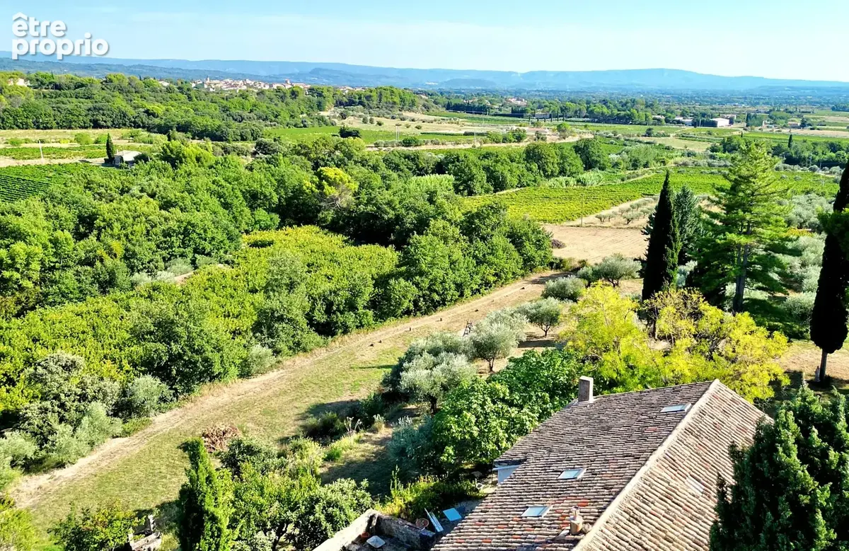 Demeure oliviers verger et vignes - photo 18