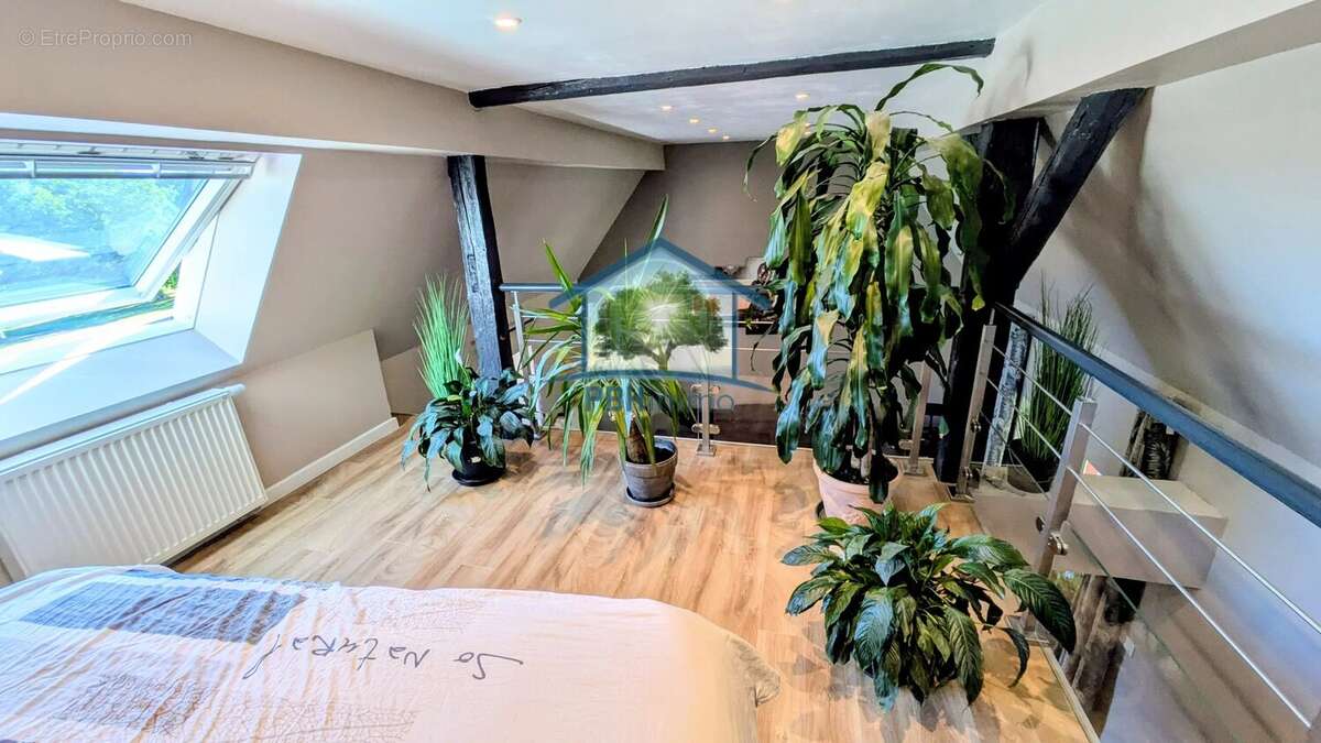 OBERSOULTZBACH (67) - Maison 156m² habitables  + Maison 60m² à rénover avec Cour, Caves, Jardin et Terrasses sur 5.08 ares - photo 5