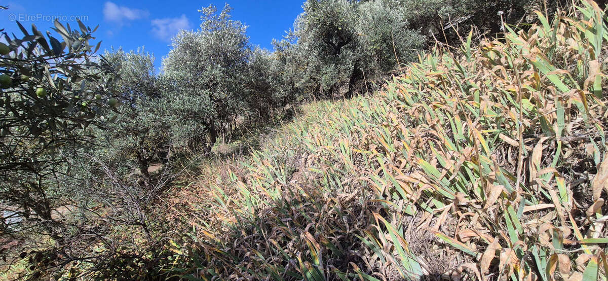 Maison à BEAUMETTES