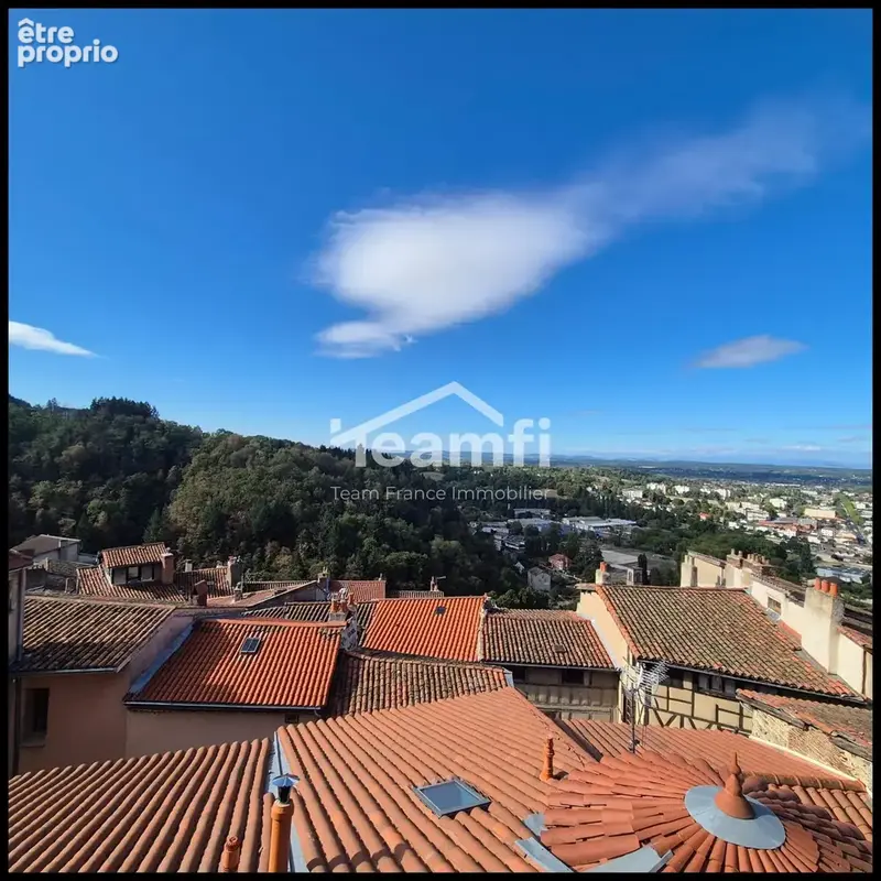 Appartement 205 m² à vendre à Thiers (63300) - photo 9
