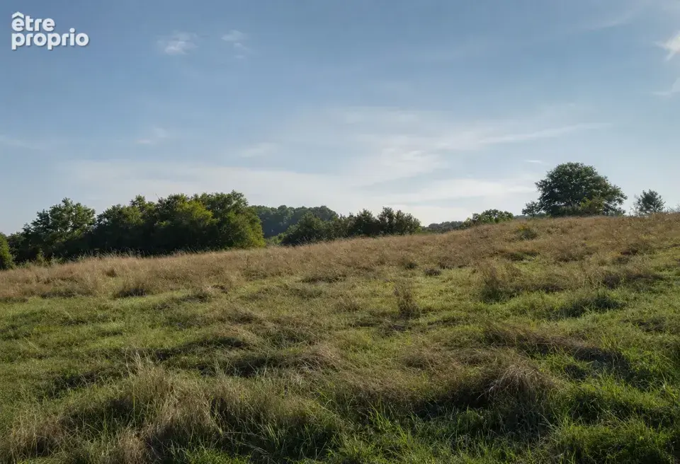 Terrain à SAINT-PIERRE-DE-CHIGNAC