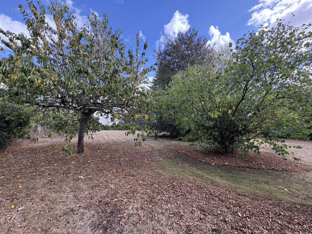 Maison à CHATEAUPONSAC