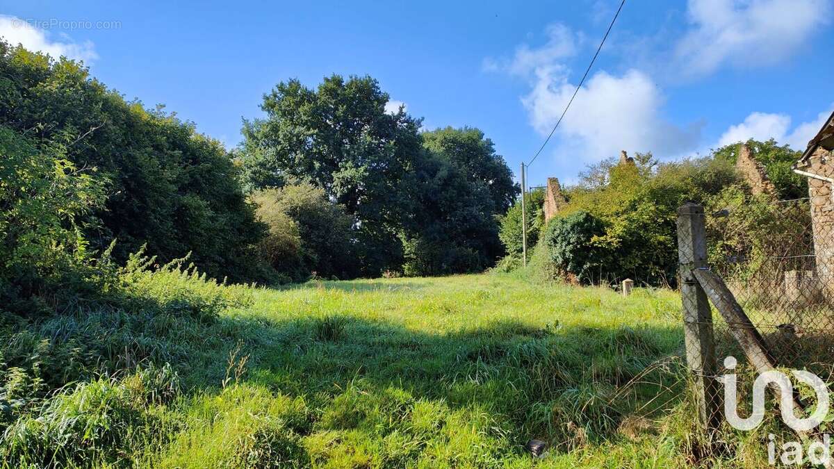 Photo 3 - Terrain à SENS-DE-BRETAGNE