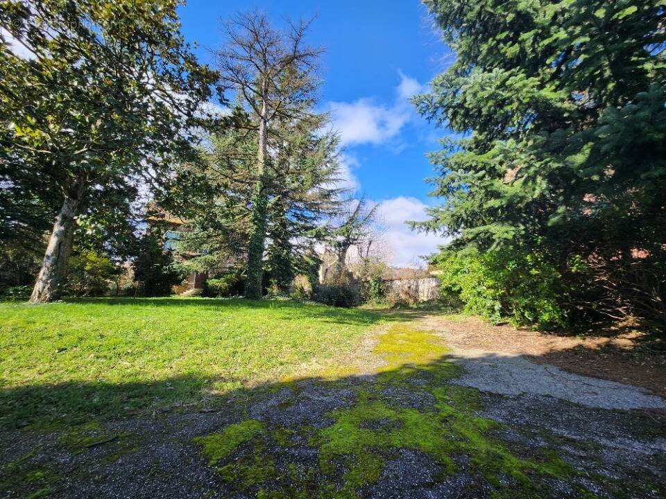 Terrain à LOIRE-SUR-RHONE