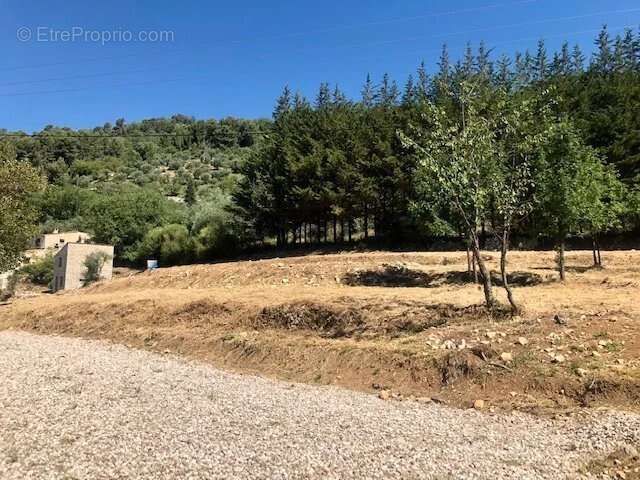 BASTIDON en Pierres sur 4230 m2 de terrain PLAT - photo 7
