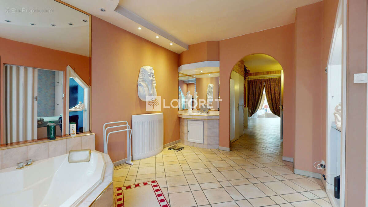 Superbe 3/4 pièces de 135 m² type loft avec jardin de 408 m² et grange aménageable Proche centre Schiltigheim - photo 11
