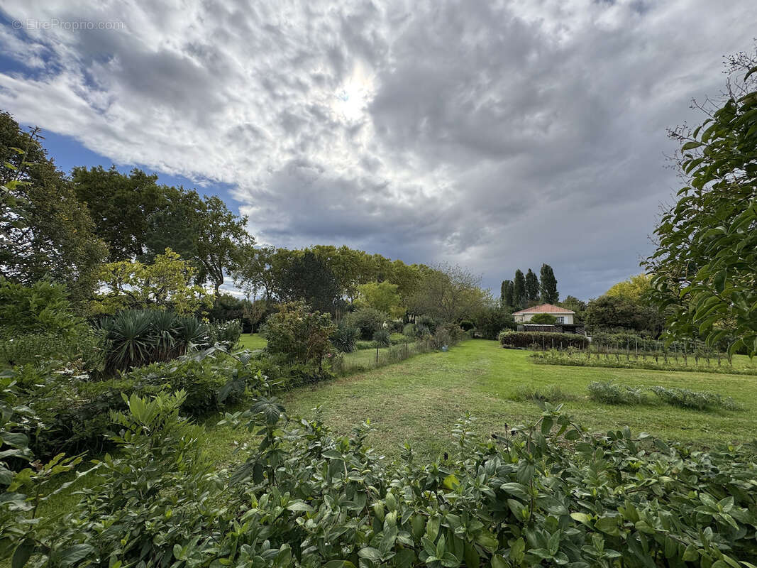 Maison à LAFITTE-SUR-LOT