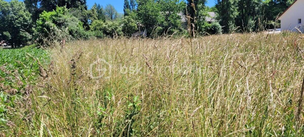 Terrain à ARTIGUELOUTAN