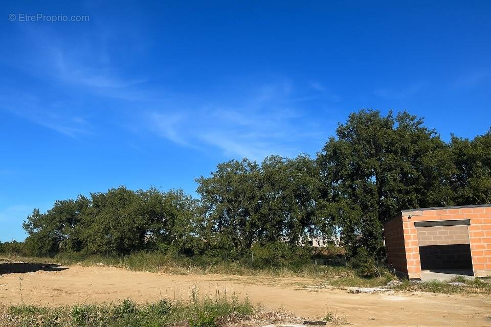 Terrain à POLLESTRES