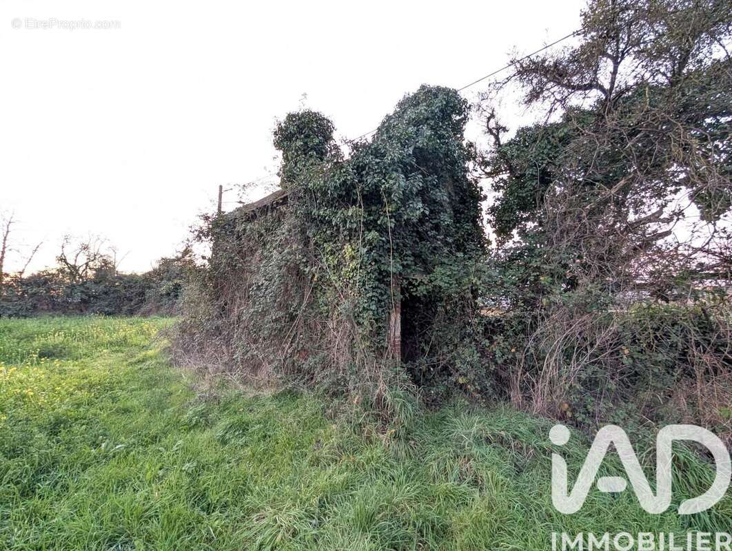 Photo 9 - Terrain à LUSSAC-LES-CHATEAUX