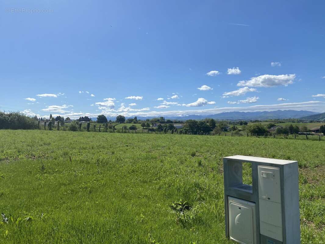 Photo 5 - Terrain à ARBOUET-SUSSAUTE