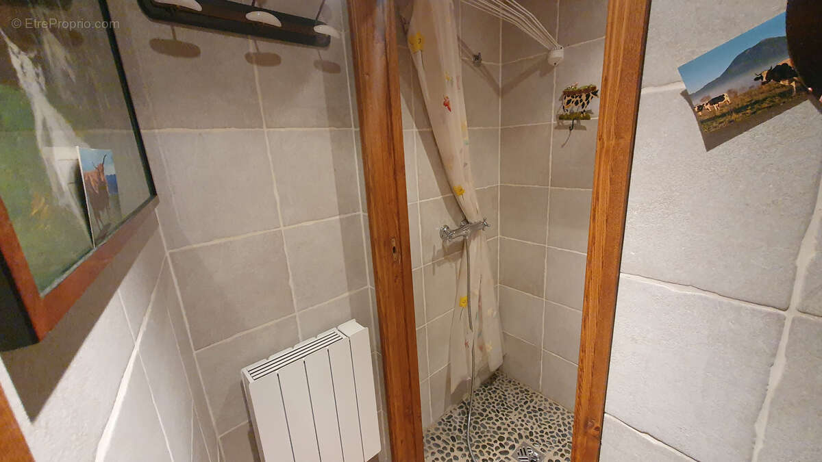 Maison à ALBEPIERRE-BREDONS