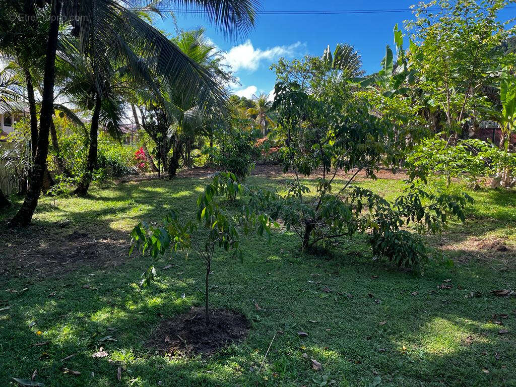 Terrain à REMIRE-MONTJOLY