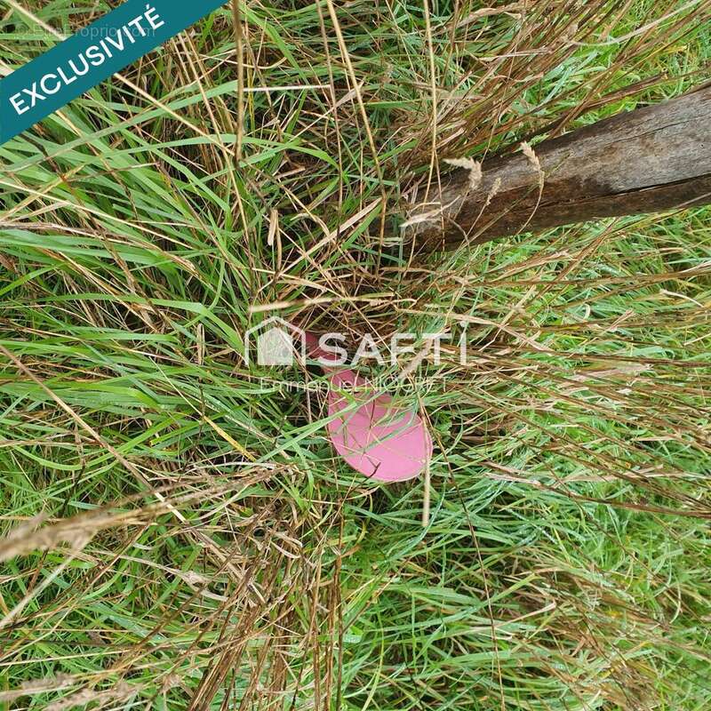 Photo 2 - Terrain à LABRUYERE