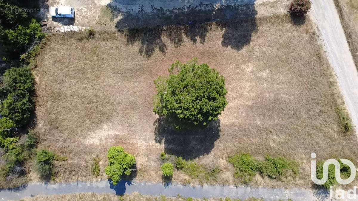 Photo 3 - Terrain à SALLES-D&#039;AUDE