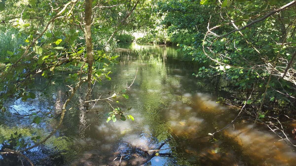 Maison à BRINON-SUR-SAULDRE