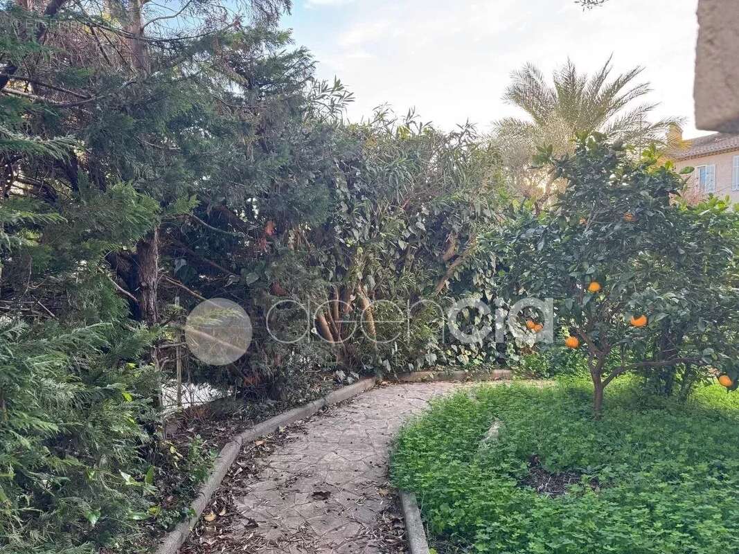 Cannes – Montrose  Spacieuse Villa de 303 m² avec Piscine et Appartement Indépendant - photo 21