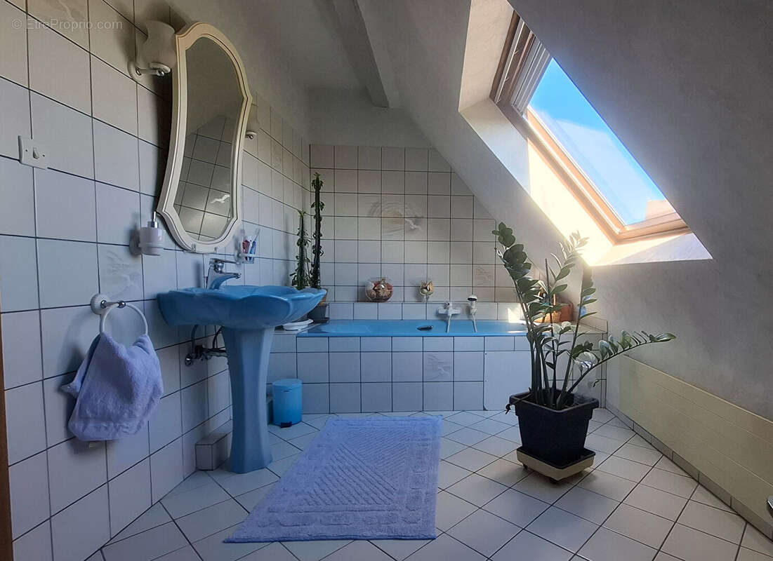 Maison à KATZENTHAL