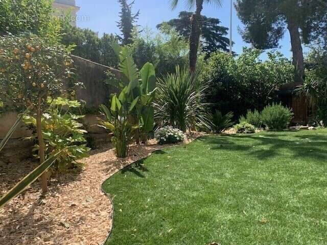 Juan-les-Pins – Centre-ville, 3 pieces en rez de jardin - photo 10