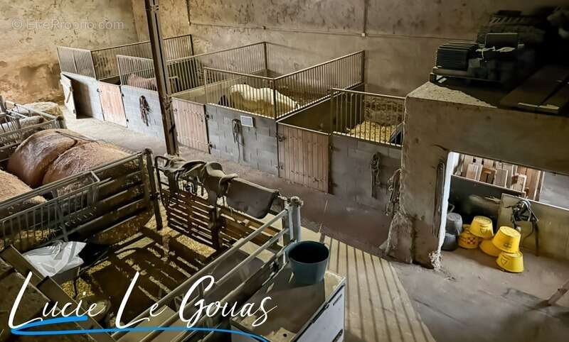 Ferme équestre - photo 29