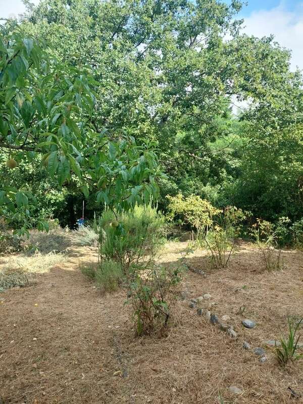 Montesquieu volvestre, Maison avec jardin et garage - photo 1
