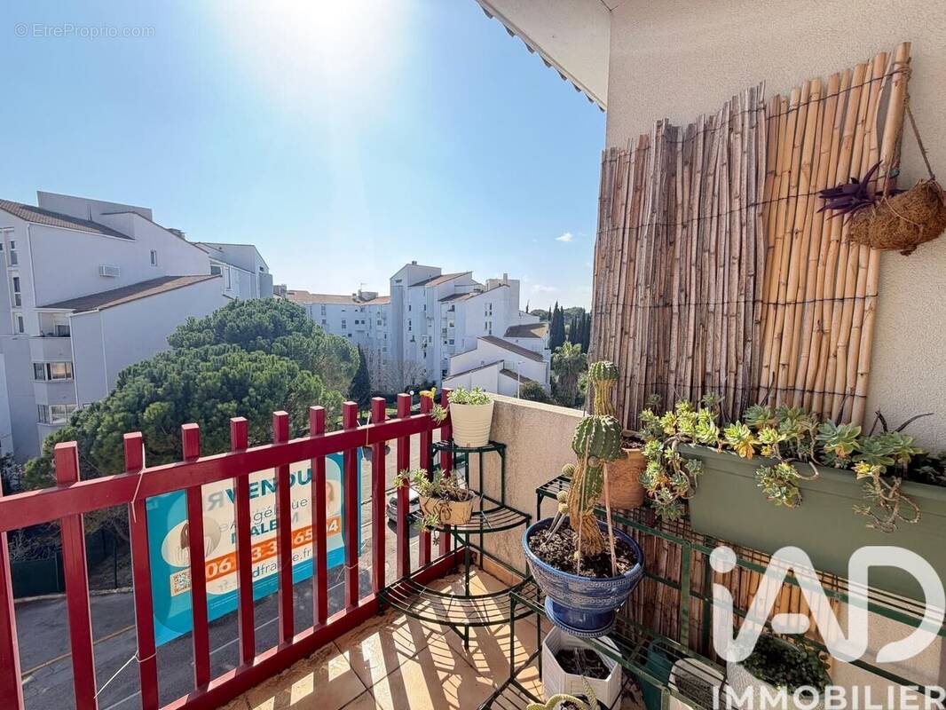 Photo 1 - Appartement à MONTPELLIER