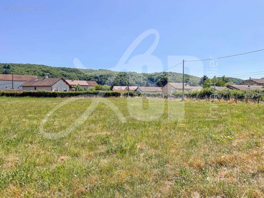 Terrain à bâtir (Lot 5) - Terrain à LONGECHENAL