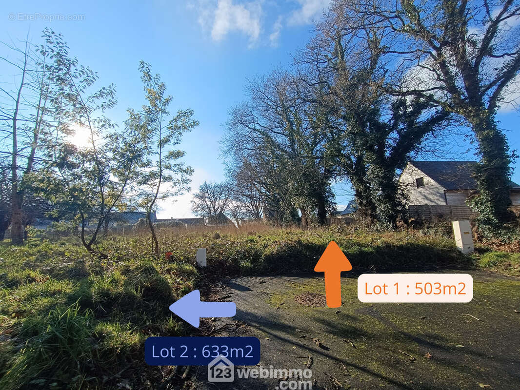 Terrain 503 m² à Cavan  - photo 23