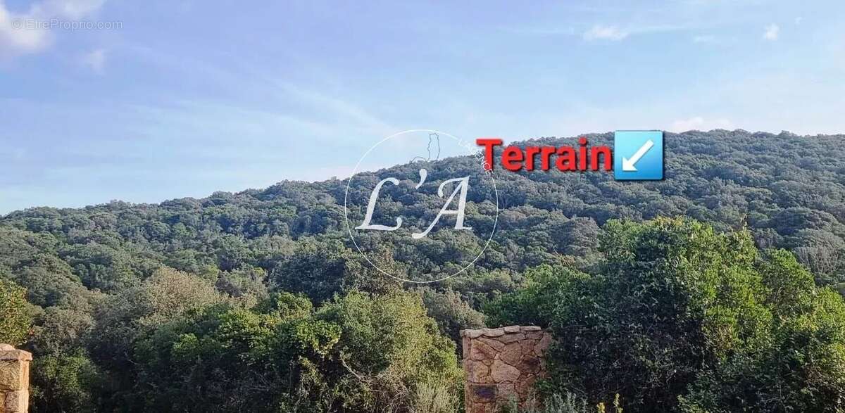 Terrain à COTI-CHIAVARI