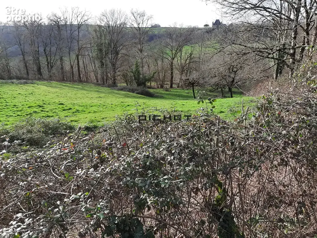 Terrain Saillac 5840 m2 - photo 3