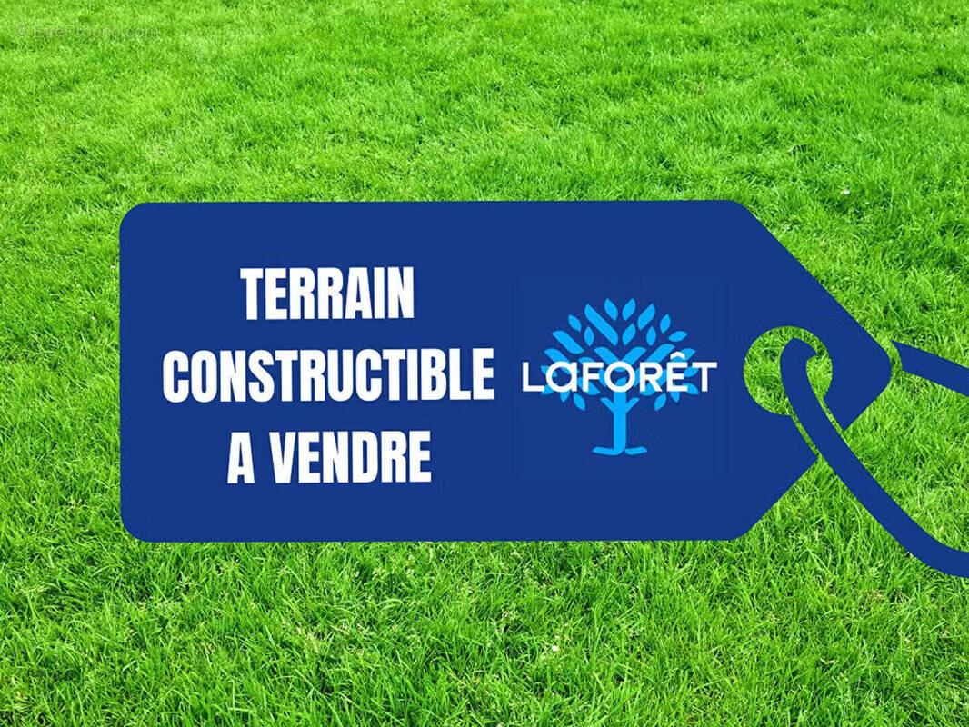 Terrain à SAINT-ROMAIN-DE-BENET