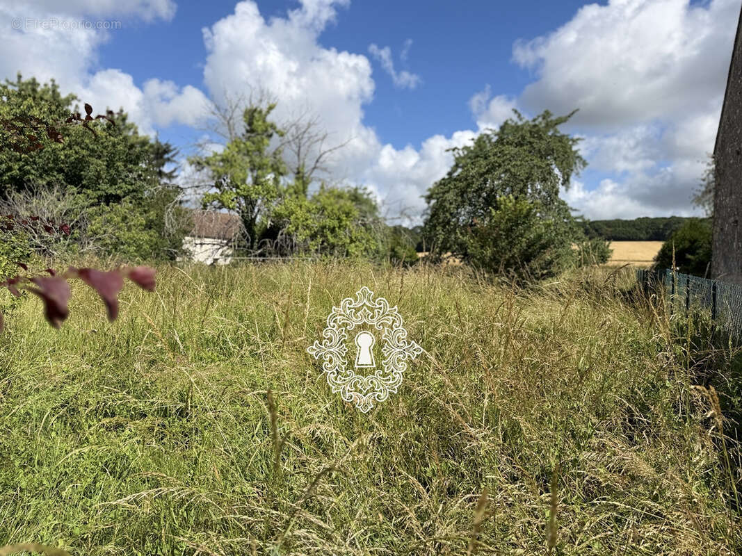 Région Donnemarie Dontilly - photo 23