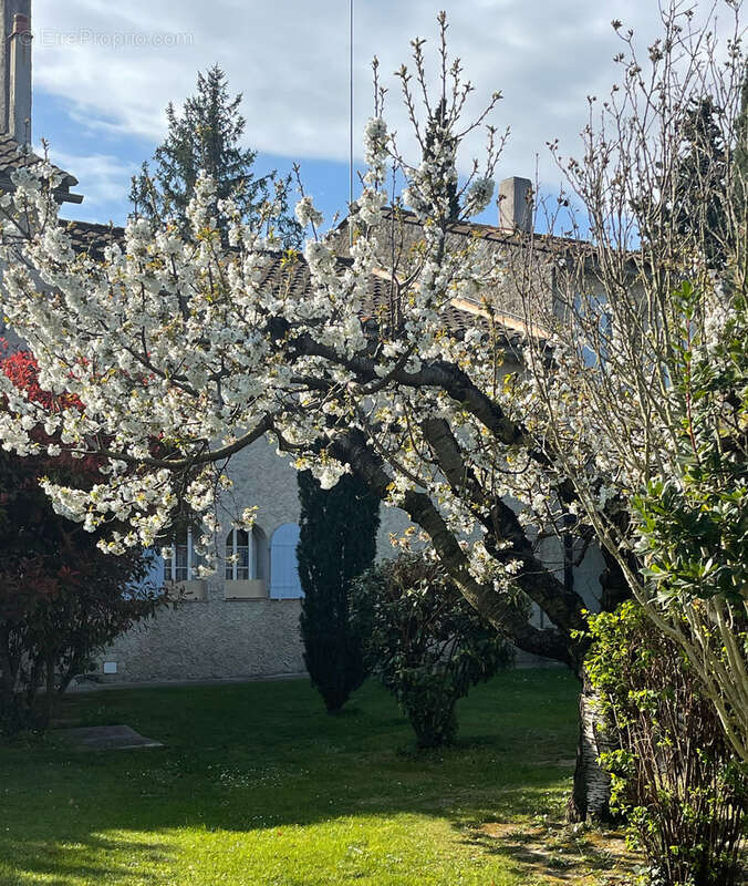 Maison à CAVAILLON