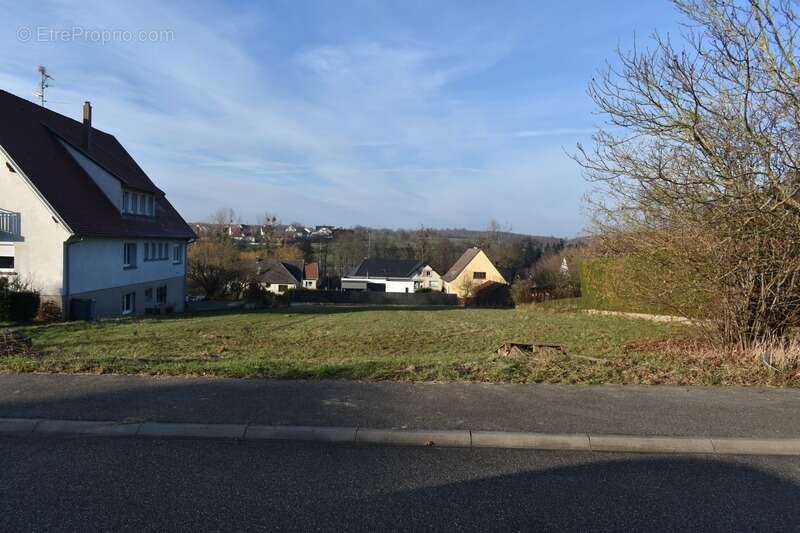 Terrain à WEYER