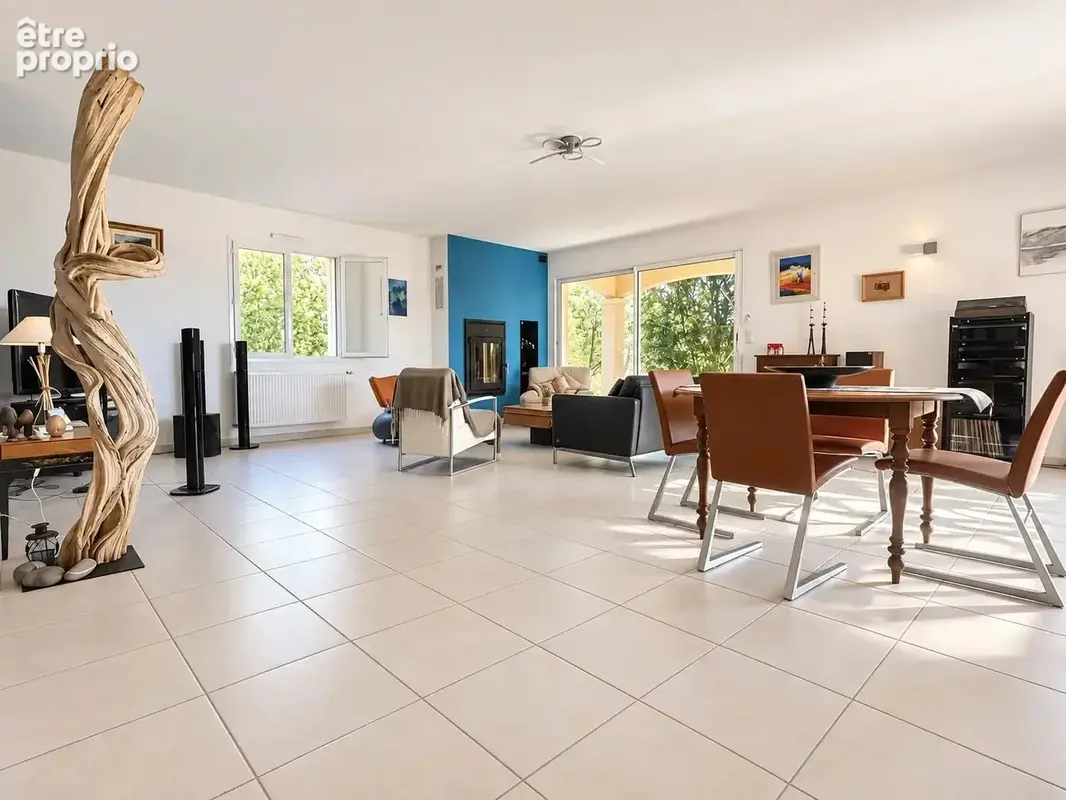 Maison T6 206 m2 - garage jardin - photo 8