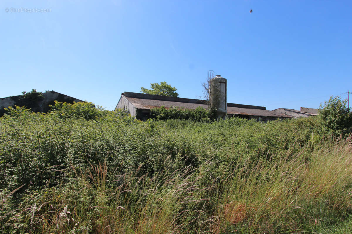 Terrain à BENET